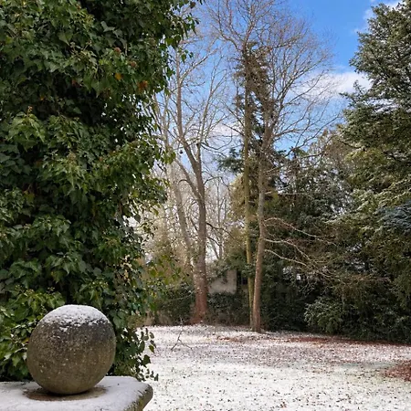 Sublime Neuf * Thaon-les-Vosges