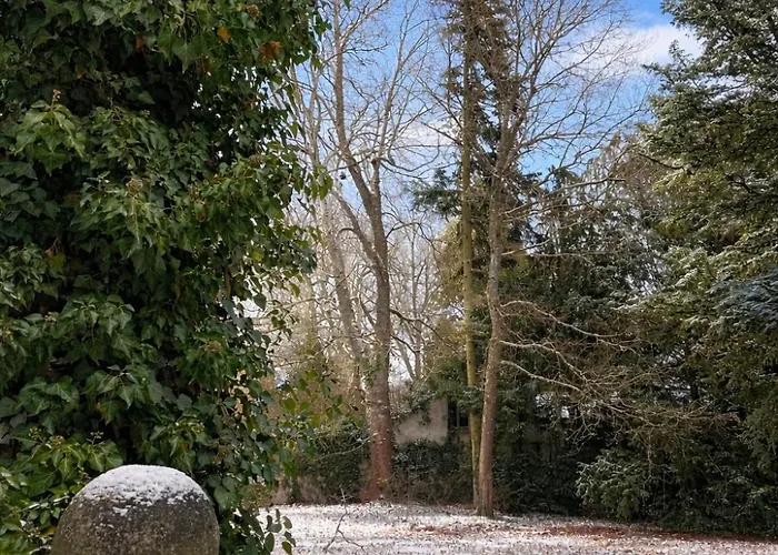 Sublime Neuf * Thaon-les-Vosges